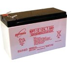 Genesis akkumulátor 12V 7Ah