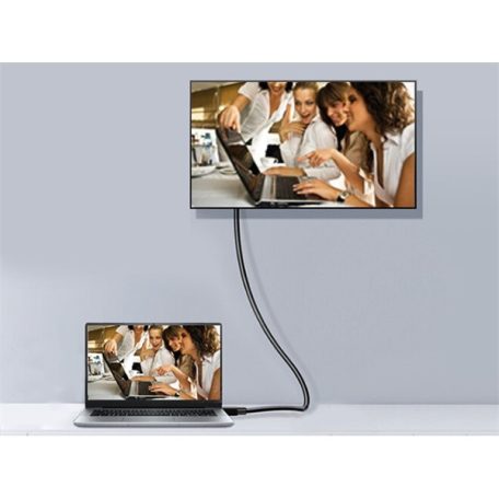 Equip Kábel - 119261 (Premium, DisplayPort1.4 kábel, 8K/60Hz, apa/apa, fekete, 1m)