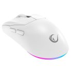 Rampage Vezeték Nélküli Egér - PROTE M5 PRO (Pixart PAW3395, Huano 80M, 26000 DPI, 500mAh, 6 gomb, RGB, Type-C, fehér)
