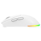 Rampage Vezeték Nélküli Egér - PROTE M5 PRO (Pixart PAW3395, Huano 80M, 26000 DPI, 500mAh, 6 gomb, RGB, Type-C, fehér)