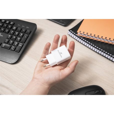 Bluestork Hálózati töltő - PW-30-CA (USB-C, USB-A, 30W, fehér)
